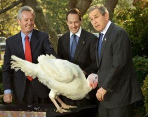 The Annual Turkey Pardoning Photo Op.jpg