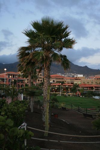 Tenerife 342