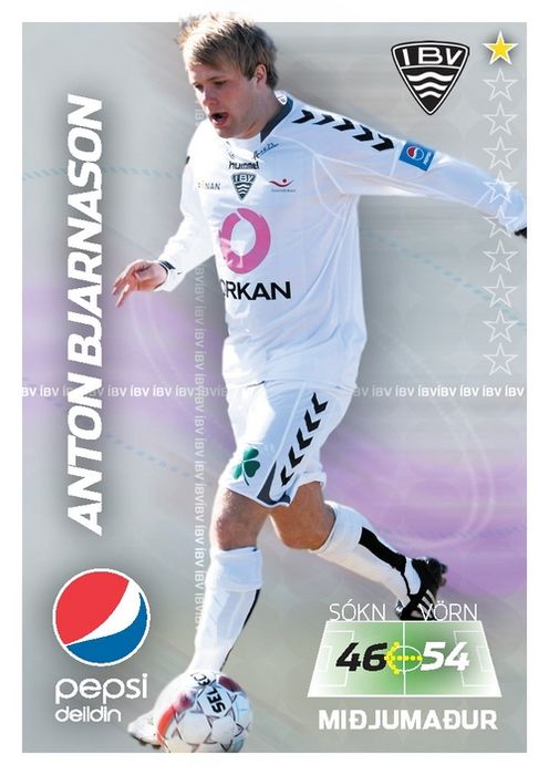 Anton Bjarnason