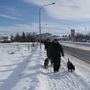 IMG 7486