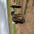 img 0740