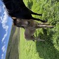 img 0342 1455073
