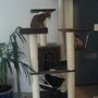 The "indoor tree house"