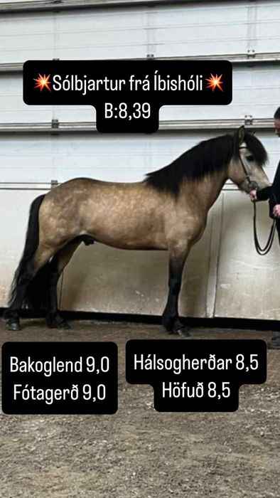 Slbjartur, the father