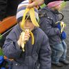 Jói með bananahýði í andlitinu
