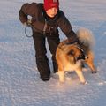 IMG 6643