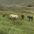 img 0955