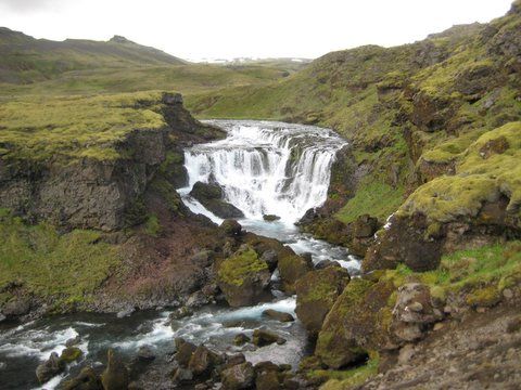IMG 0816