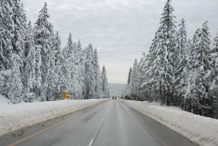 Donar pass  California