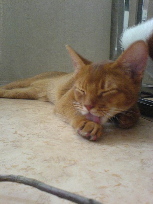 ...and of course cleaning myself!!