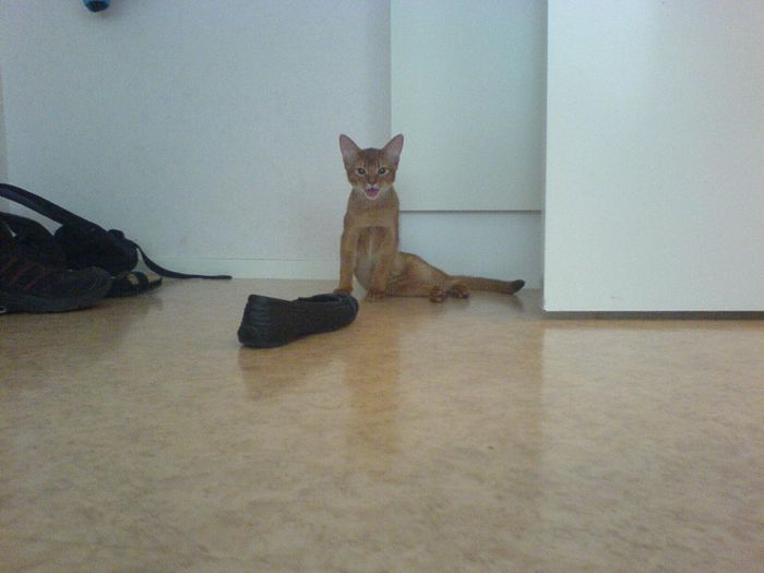 Hihi... ohhh Im sooo exhausted after all the fun I had!!!