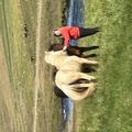 img 0757 1455632