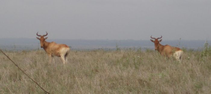 National Park