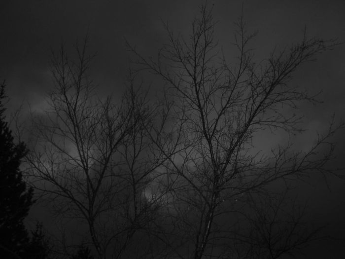 tre og sky