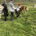 img 0390