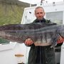 11 kg Catfish in Sudureyri June 2008