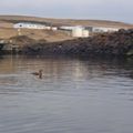 Kayakferð