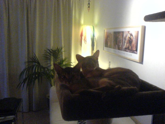 We always want to sleep next to each other...