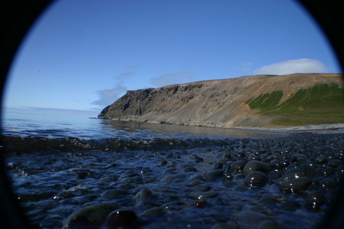 Fjalli og fjaran