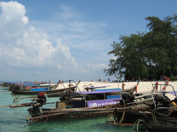 img 5720.jpg