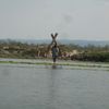 Kathmandu and Chitwan1 090