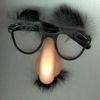 Funny Nose glasses