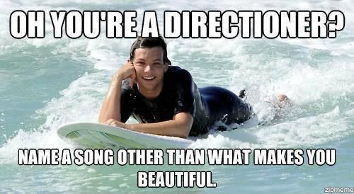 so you are directioner