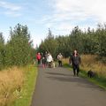IMG 8797