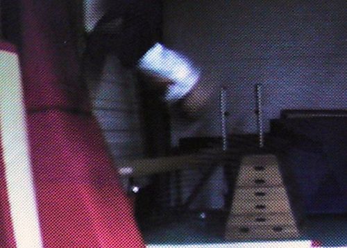 wALLfLPPd