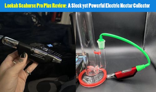 lookah seahorse pro plus review