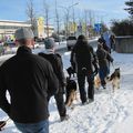 IMG 7506