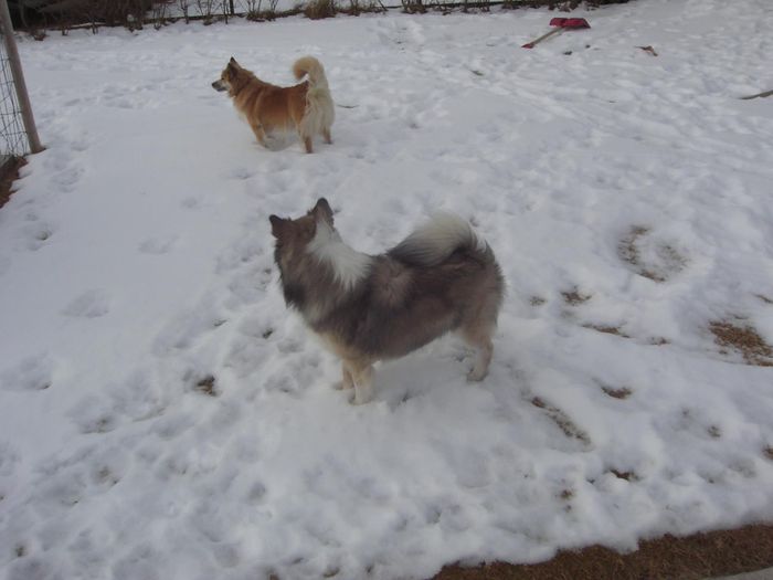 feb 2007 025.jpg