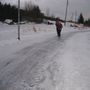 IMG 1961
