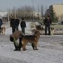 IMG 7181