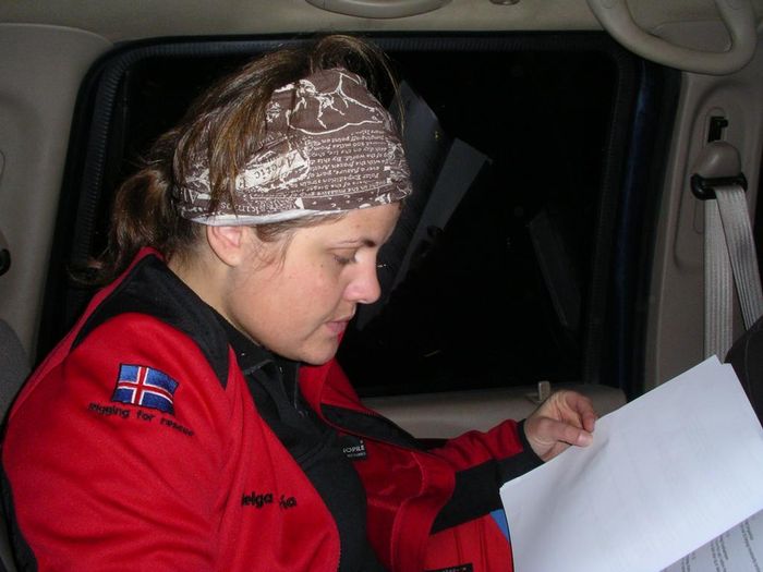 Landsfing 2007