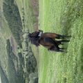 img 0351 1455081