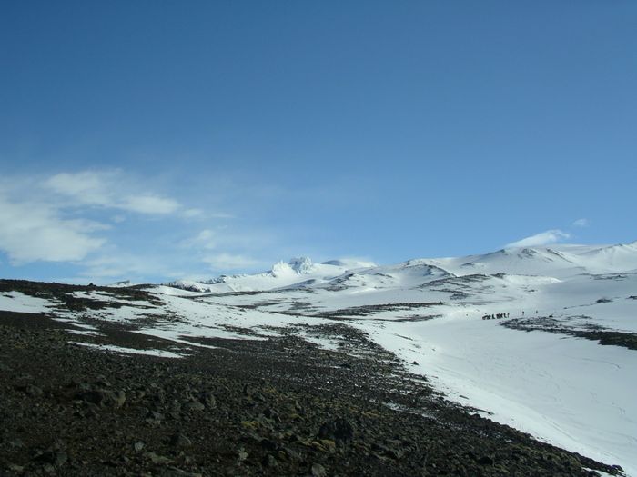 IMGP2394