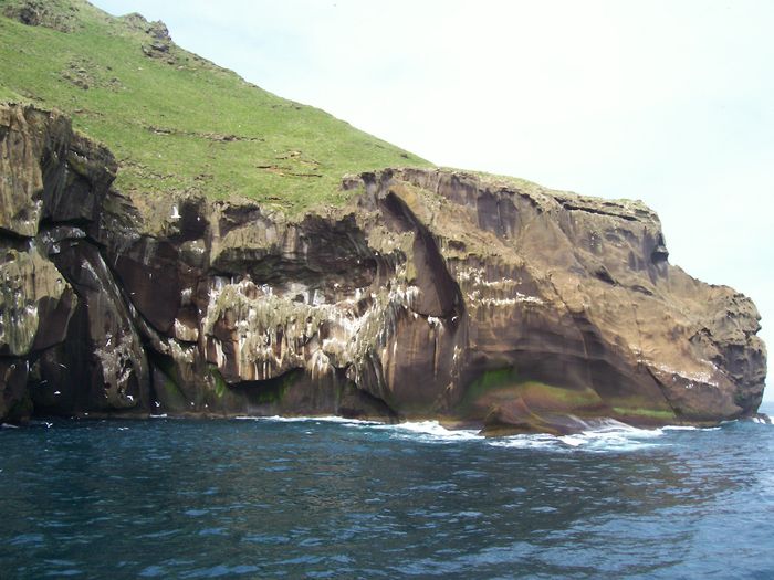 Vestmannaeyjar 145