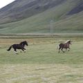 img 8871 1444009