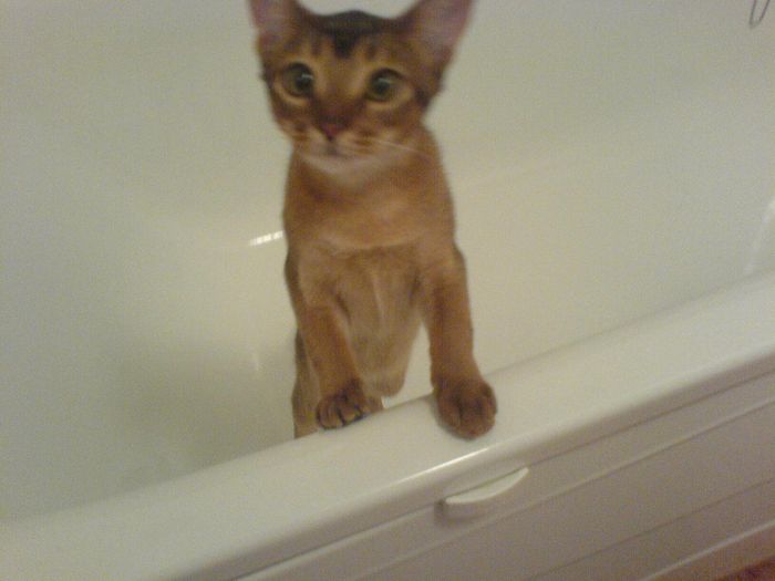 My sweeetheart