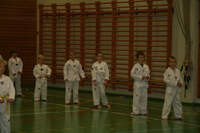 TaiKwonDo gula belti 143