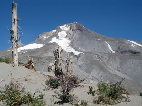 Mt.. Hood