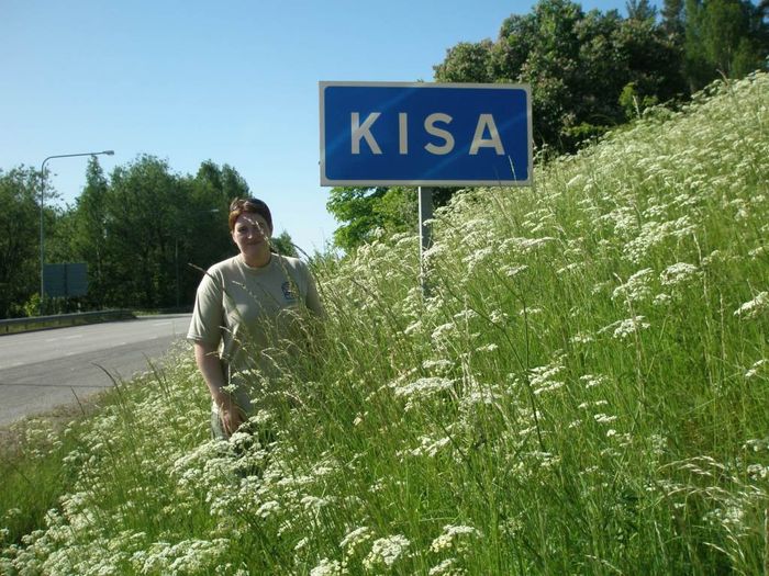 Kisa