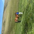 img 0183 1454623
