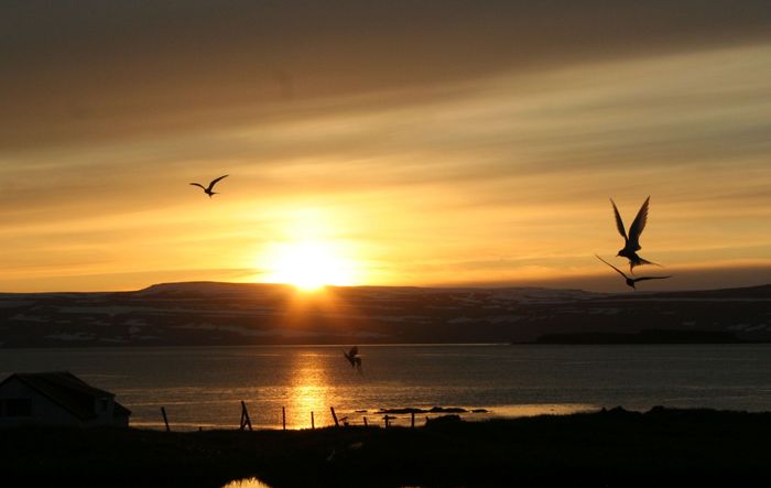  Reykjanesi vi safjarardjp