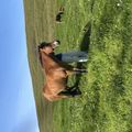 img 0185 1454624
