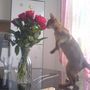 Smelling the flowers