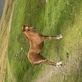 img 0706 1455587