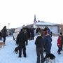 IMG 6631