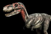 dinosaur-species-never-existed 170.jpg